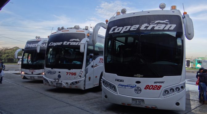 VIAJES INTERMUNICIPALES SE REANUDARÍAN EN SEPTIEMBRE