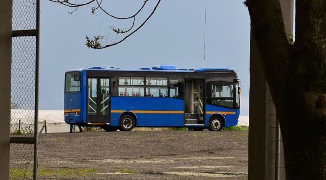 169 OBSERVACIONES RESPONDIÓ TRANSMILENIO EN LICITACIÓN DE BUSES ZONALES
