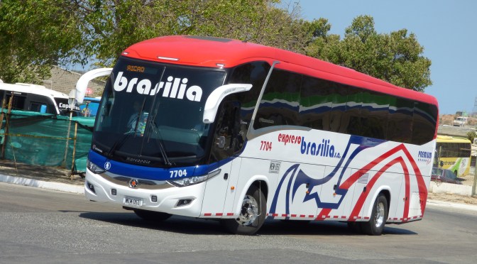 EXPRESO BRASILIA REFUERZA MEDIDAS DE BIOSEGURIDAD EN TEMPORADA DE FIN DE AÑO