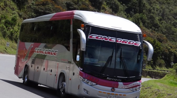 15 AÑOS DE IDENTIDAD: LAS IMÁGENES DE LOS BUSES QUE HAN DEJADO HUELLA
