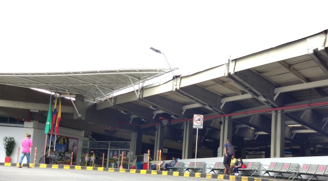 TERMINAL PEREIRA SE PRONUNCIA RESPECTO A CASO DE MALTRATO ANIMAL EN BUS