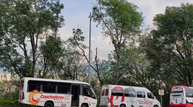 LICITACIONES: CON LOS PANTALONES ABAJO