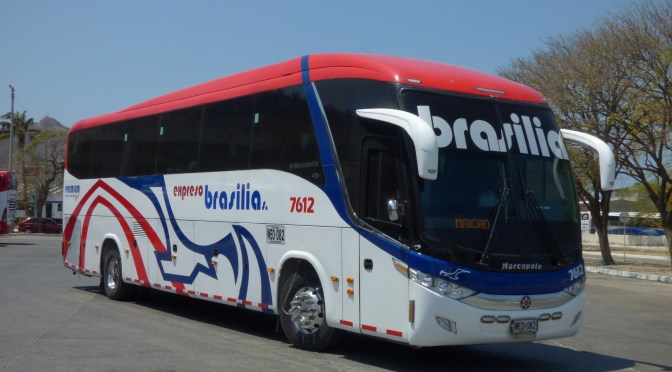 EXPRESO BRASILIA TRANSPORTÓ CERCA DE 3,3 MILLONES DE PASAJEROS DURANTE 2021