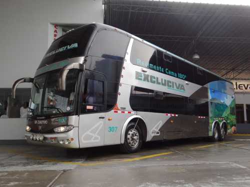Excluciva 307 