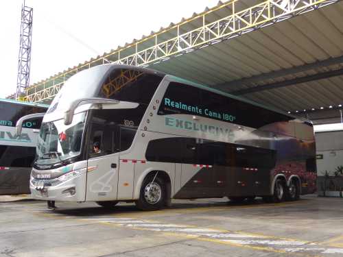 Excluciva 381 